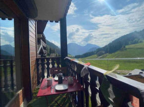 Cozy studio between the lake and the mountain Le Biot